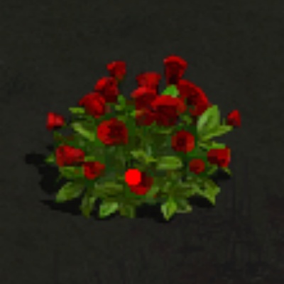 �л��ؾ�����ɭ�ֳ���